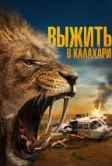 Выжить в Калахари (2024)